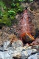 picture thumbnail