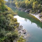 thumbnails/000-DSC_0001.JPG.small.jpeg