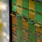 thumbnails/005-DSC_0013.JPG.small.jpeg