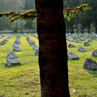 thumbnails/014-DSC_0037.JPG.small.jpeg