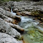 thumbnails/017-DSC_0043.JPG.small.jpeg