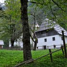 thumbnails/020-DSC_0049.JPG.small.jpeg