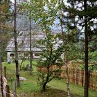 thumbnails/025-DSC_0058.JPG.small.jpeg