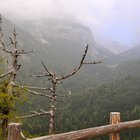 thumbnails/027-DSC_0060.JPG.small.jpeg