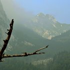 thumbnails/028-DSC_0061.JPG.small.jpeg