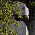 thumbnails/037-DSC_0079.JPG.small.jpeg