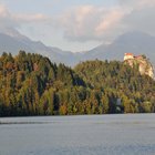 thumbnails/042-DSC_0088.JPG.small.jpeg