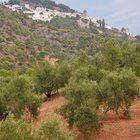 thumbnails/003-DSC_0012.JPG.small.jpeg