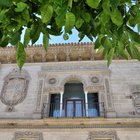 thumbnails/056-DSC_0187.JPG.small.jpeg