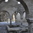 thumbnails/072-DSC_0221.JPG.small.jpeg
