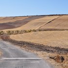 thumbnails/007-DSC_0263.JPG.small.jpeg