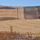 thumbnails/008-DSC_0265.JPG.small.jpeg