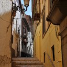 thumbnails/030-DSC_0317.JPG.small.jpeg