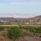 thumbnails/043-DSC_0342.JPG.small.jpeg