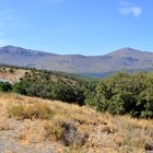thumbnails/056-DSC_0367.JPG.small.jpeg