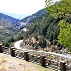 thumbnails/058-DSC_0370.JPG.small.jpeg