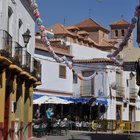 thumbnails/065-DSC_0380.JPG.small.jpeg