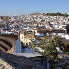 thumbnails/013-DSC_0566.JPG.small.jpeg