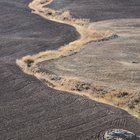 thumbnails/026-DSC_0599.JPG.small.jpeg