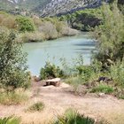 thumbnails/029-DSC_0604.JPG.small.jpeg