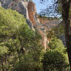 thumbnails/036-DSC_0620.JPG.small.jpeg