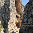 thumbnails/037-DSC_0622.JPG.small.jpeg