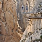 thumbnails/038-DSC_0624.JPG.small.jpeg