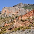 thumbnails/049-DSC_0648.JPG.small.jpeg