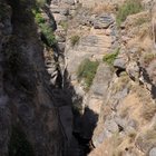 thumbnails/060-DSC_0674.JPG.small.jpeg