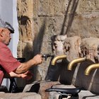 thumbnails/013-DSC_0726.JPG.small.jpeg