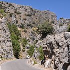 thumbnails/014-DSC_0730.JPG.small.jpeg