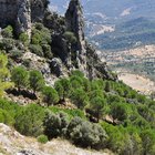 thumbnails/016-DSC_0732.JPG.small.jpeg