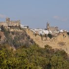 thumbnails/028-DSC_0750.JPG.small.jpeg