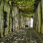 thumbnails/054-DSC_0799.JPG.small.jpeg