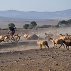 thumbnails/072-DSC_0826.JPG.small.jpeg