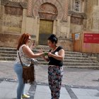 thumbnails/000-DSC_0594.JPG.small.jpeg
