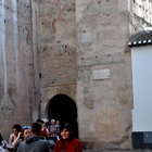 thumbnails/025-DSC_0379.JPG.small.jpeg