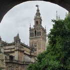 thumbnails/028-9IMG_1785.JPG.small.jpeg