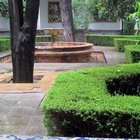 thumbnails/002-IMG_1754.JPG.small.jpeg