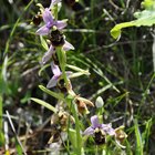 thumbnails/006-DSC_0024.JPG.small.jpeg
