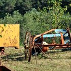 thumbnails/015-DSC_0094.JPG.small.jpeg