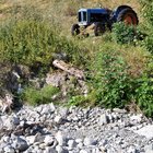 thumbnails/018-DSC_0103.JPG.small.jpeg