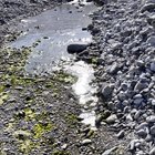 thumbnails/020-DSC_0108.JPG.small.jpeg