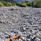 thumbnails/021-DSC_0110.JPG.small.jpeg
