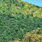 thumbnails/023-DSC_0115.JPG.small.jpeg
