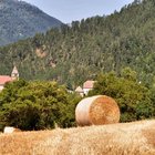 thumbnails/037-DSC_0150.JPG.small.jpeg