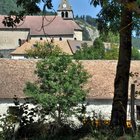 thumbnails/040-DSC_0163.JPG.small.jpeg