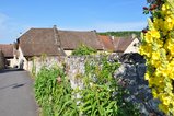 thumbnails/001-DSC_0060.JPG.small.jpeg