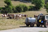 thumbnails/009-DSC_0084.JPG.small.jpeg