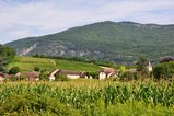thumbnails/015-DSC_0115.JPG.small.jpeg
